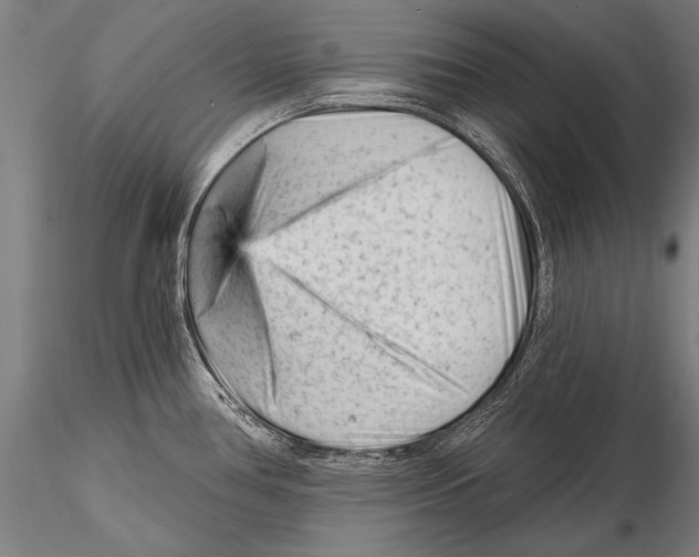 X0000115381386200912011155