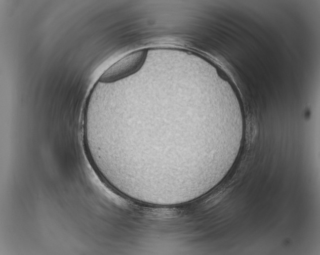 X0000115381387200912011155