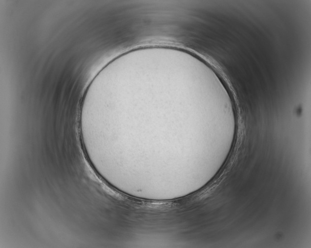 X0000115381390200912011155