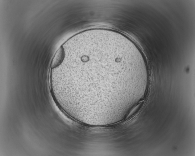 X0000115381391200912011155