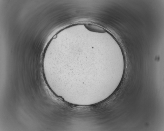 X0000115381392200912011155