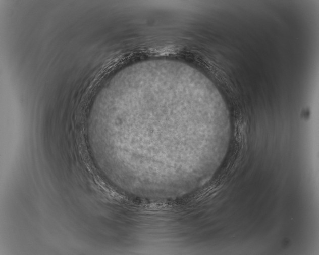 X0000115381393200912011154