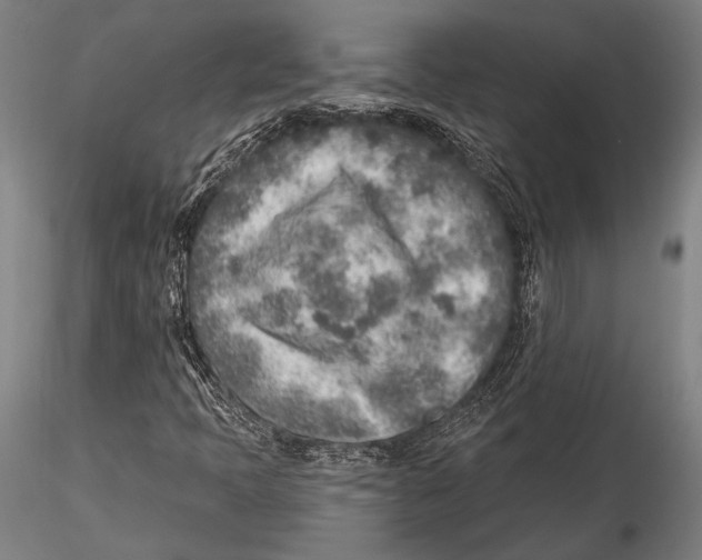 X0000115381397200912011154