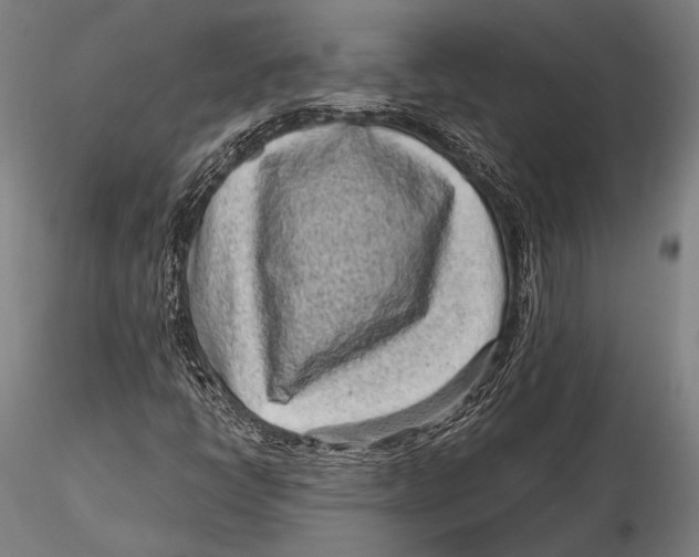 X0000115381398200912011154