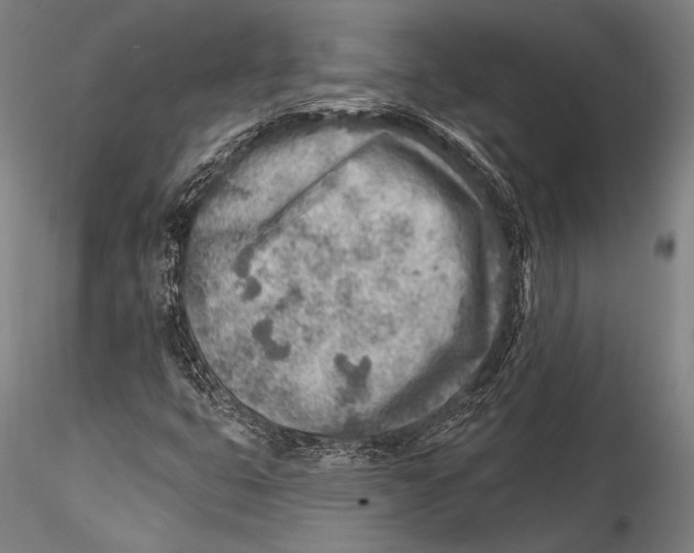 X0000115381399200912011154