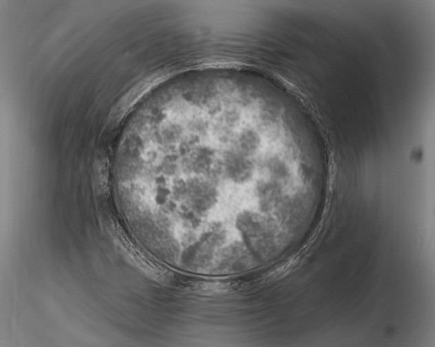 X0000115381401200912011154