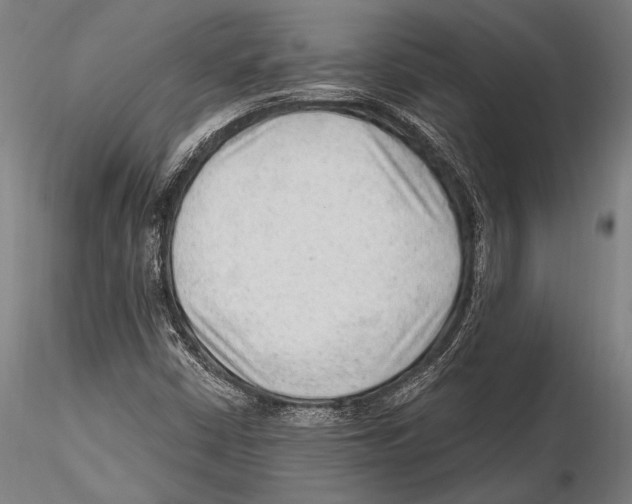 X0000115381402200912011154