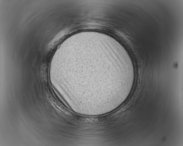 X0000115381403200912011154