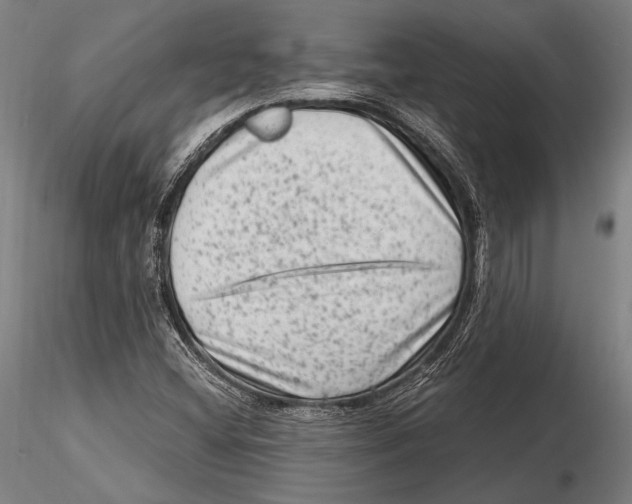 X0000115381404200912011154