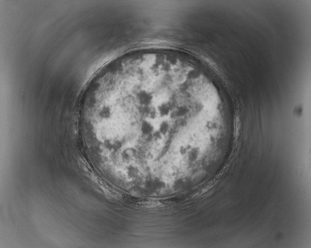 X0000115381405200912011154