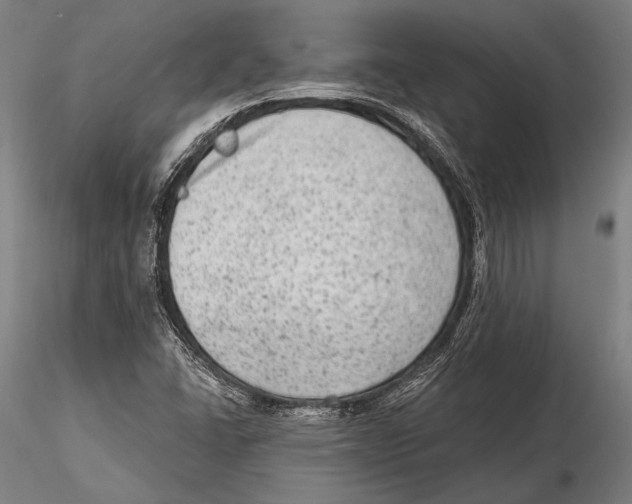 X0000115381406200912011154