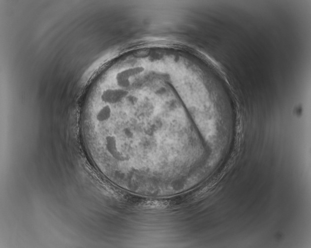 X0000115381411200912011154