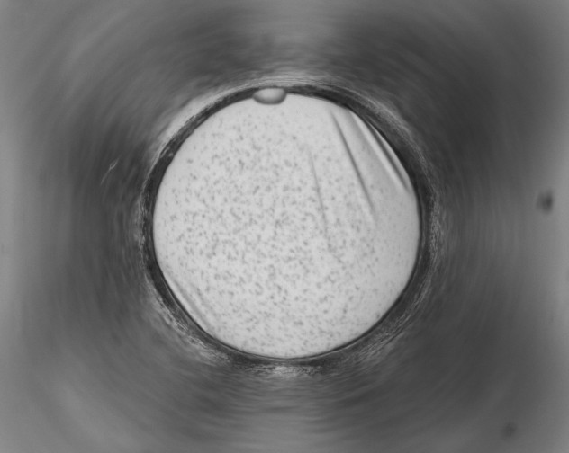 X0000115381412200912011154