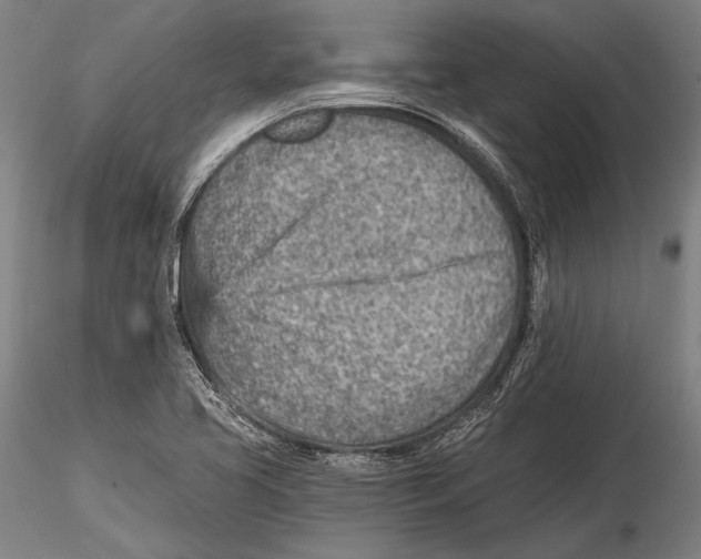 X0000115381413200912011154