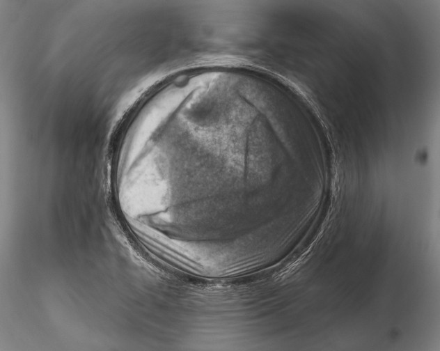 X0000115381414200912011154