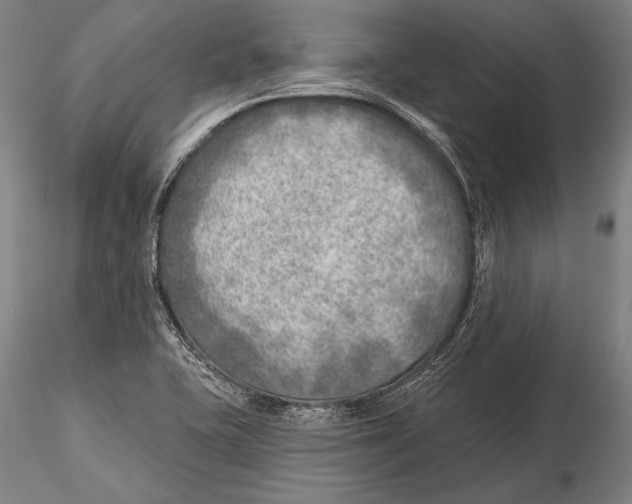 X0000115381415200912011154