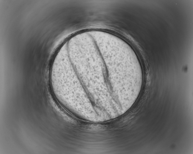 X0000115381416200912011154