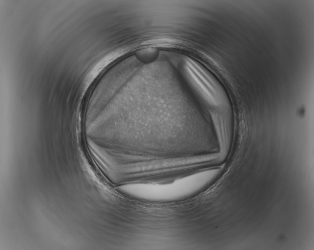 X0000115381418200912011154