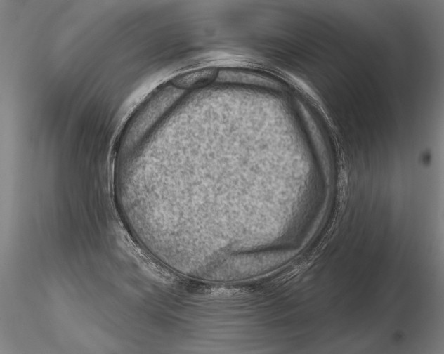 X0000115381419200912011154