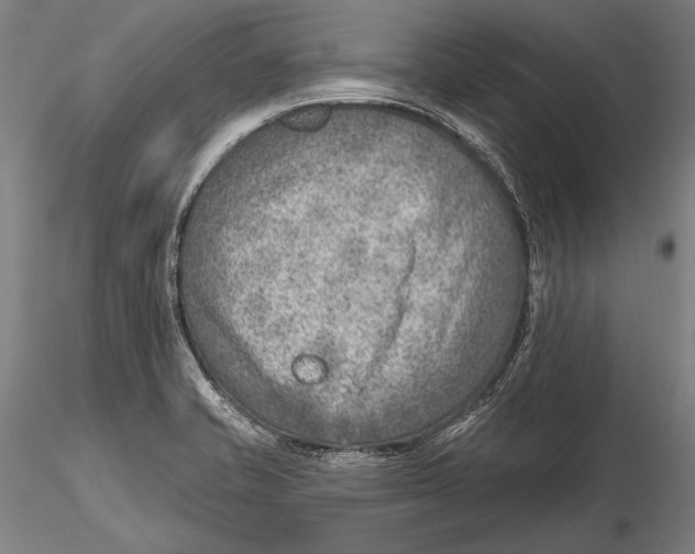 X0000115381421200912011154