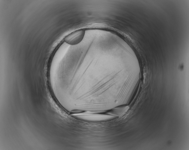 X0000115381422200912011154