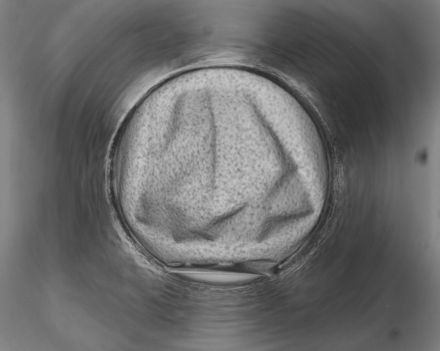 X0000115381423200912011154