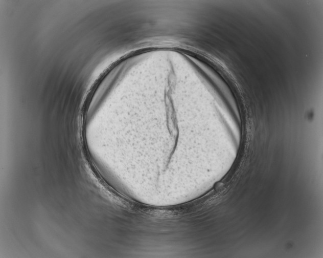 X0000115381424200912011155