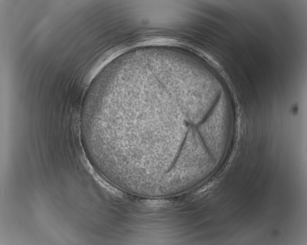 X0000115381425200912011155