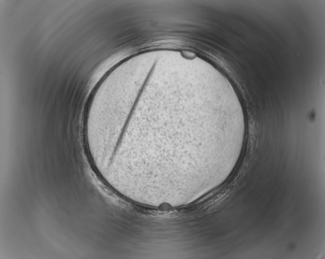 X0000115381426200912011155