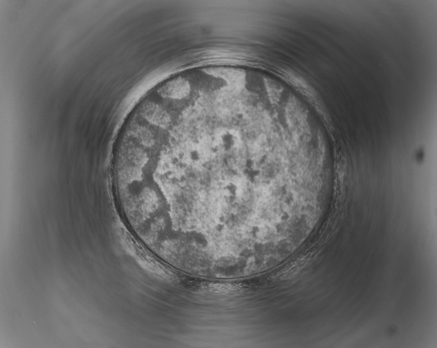 X0000115381427200912011155