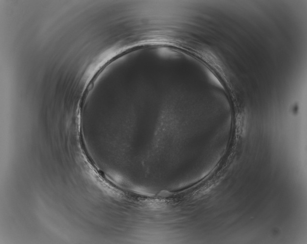 X0000115381428200912011155