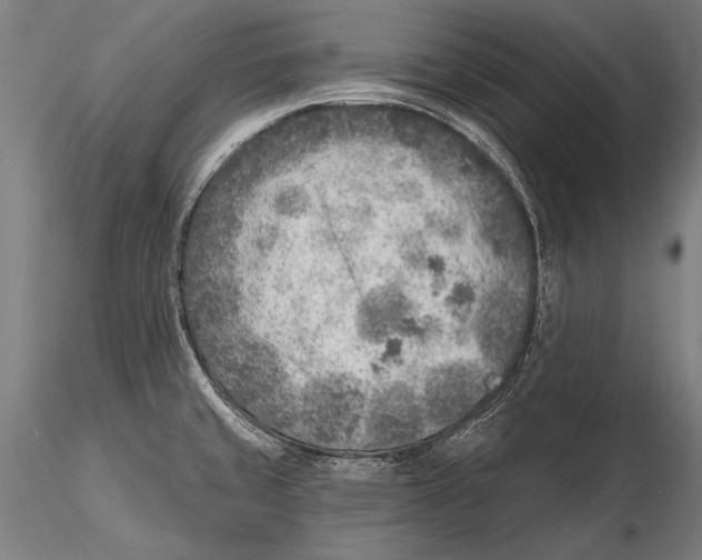 X0000115381429200912011155