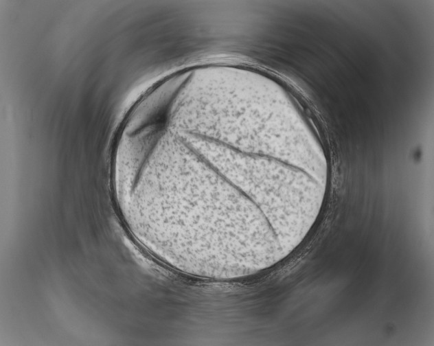 X0000115381430200912011155