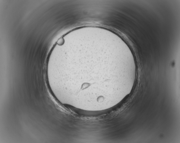 X0000115381432200912011155