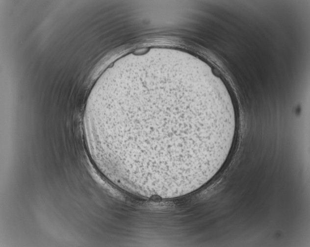 X0000115381433200912011155