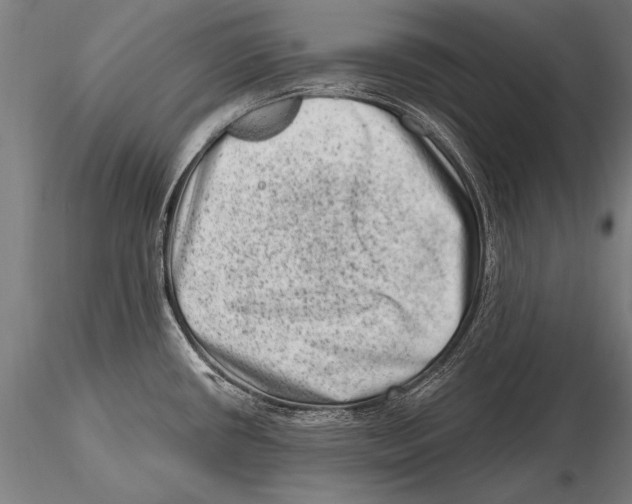 X0000115381434200912011155