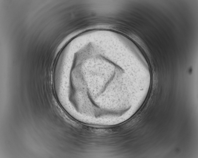 X0000115381436200912011155