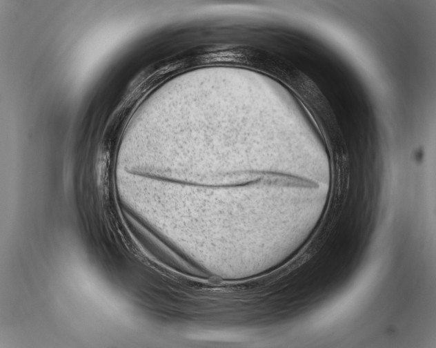 X0000115381438200912011155