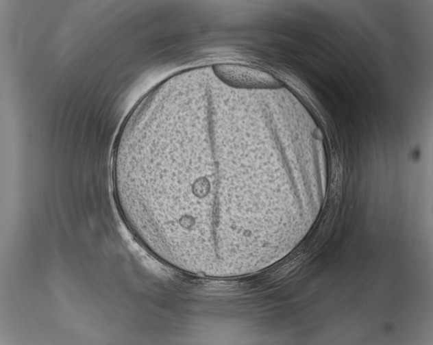 X0000115381439200912011155