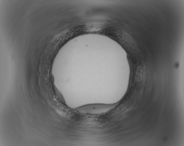 X0000115381441200912011154