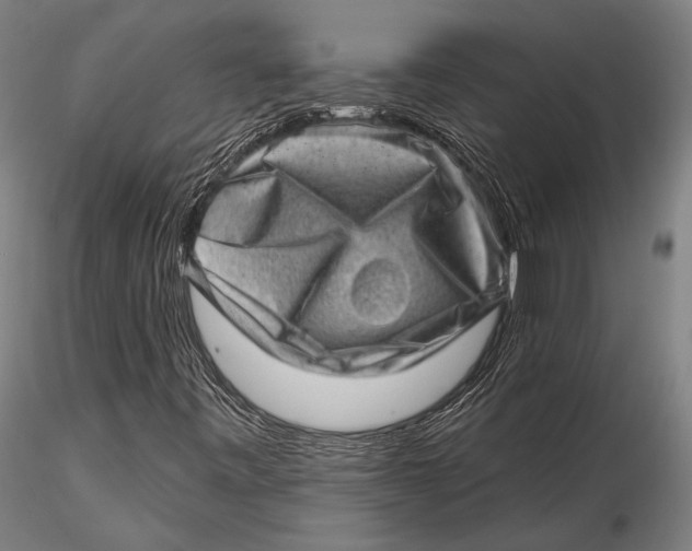 X0000115381443200912011154