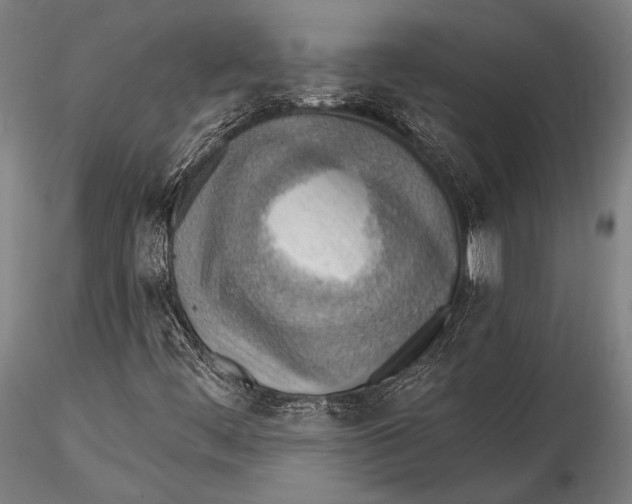 X0000115381444200912011154