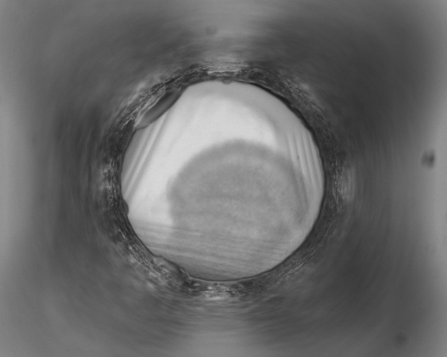 X0000115381445200912011154