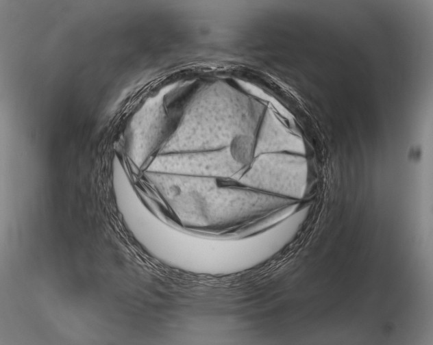 X0000115381447200912011154