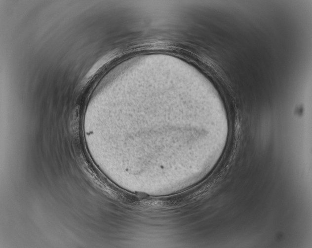 X0000115381450200912011154