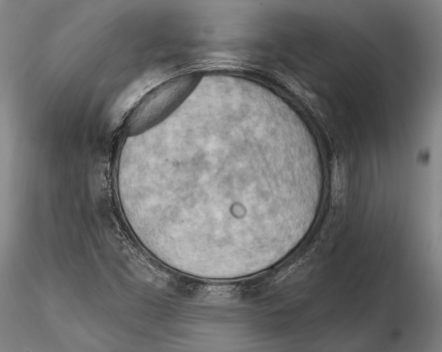 X0000115381453200912011154