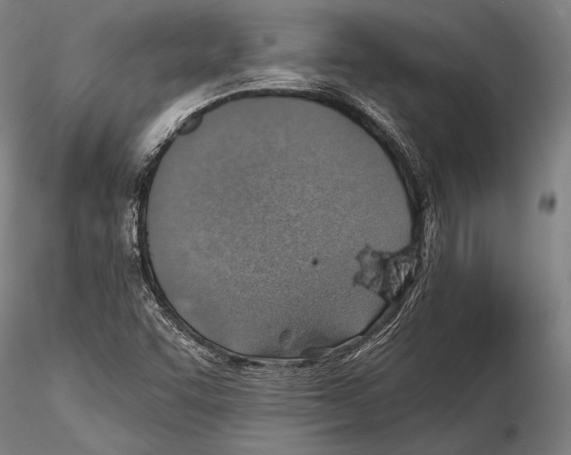 X0000115381455200912011154