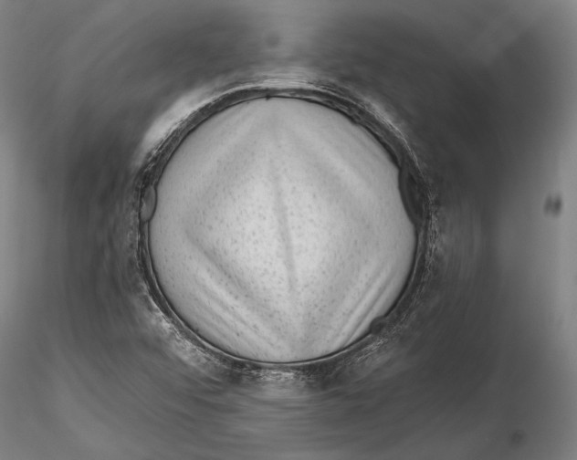 X0000115381456200912011154