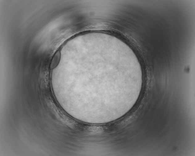 X0000115381457200912011154