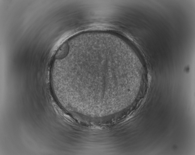 X0000115381459200912011154